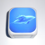 Nifty Led Cube Dolphin Clock - Multifunction 
