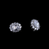 Crystal Zircon Dolphin Earrings For Women 